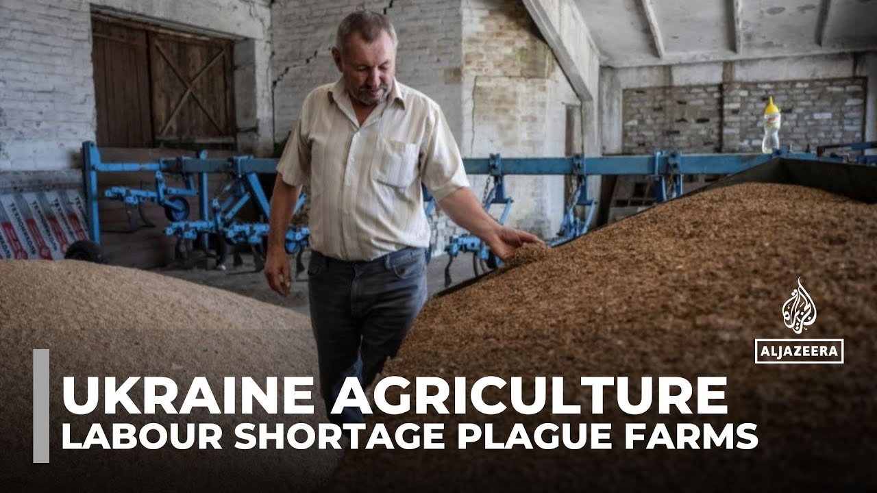 Ukraine agriculture: Conflict with Russia has created a labour shortage