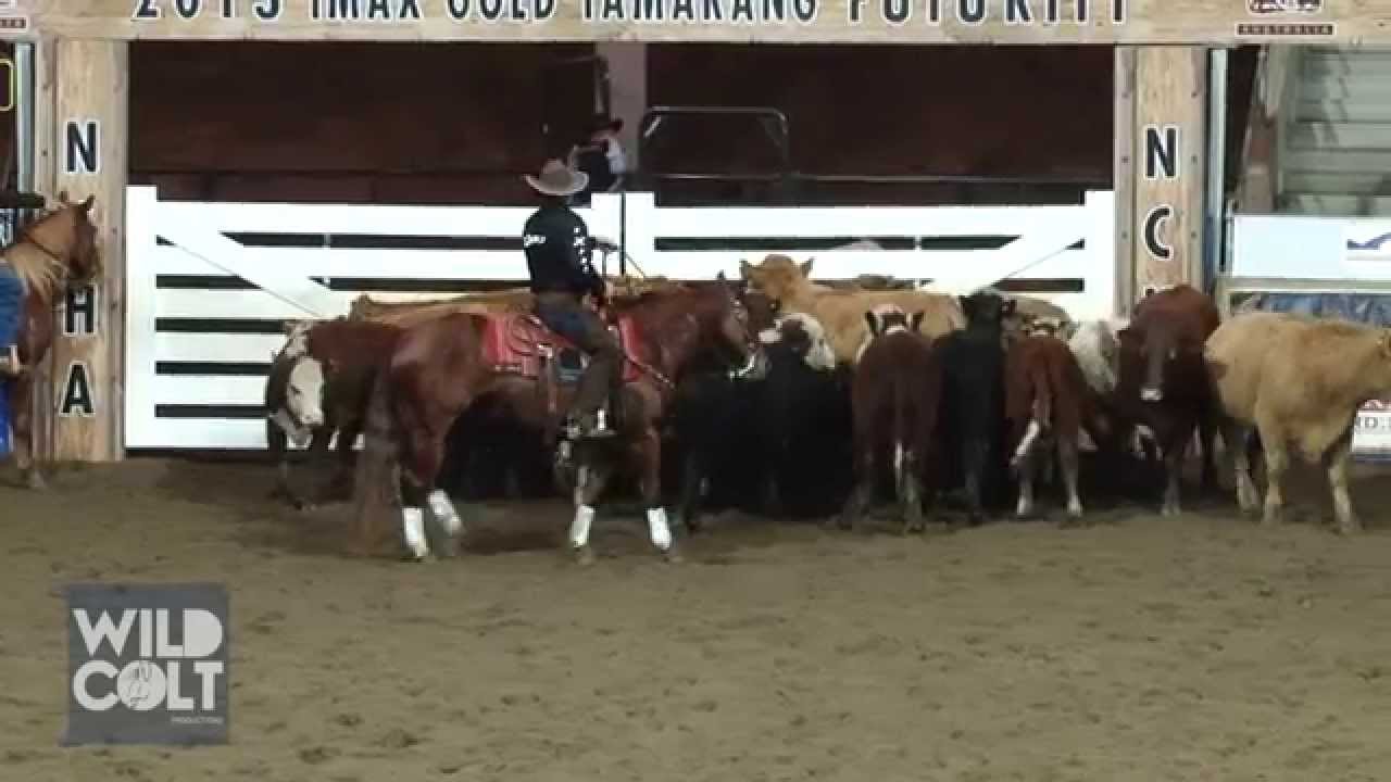 Colin Friels wins Celebrity Cutting at NCHA 40th Futurity 2013