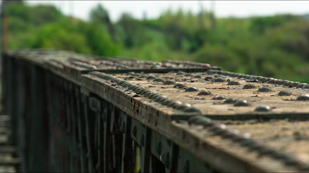 Foynes railway line