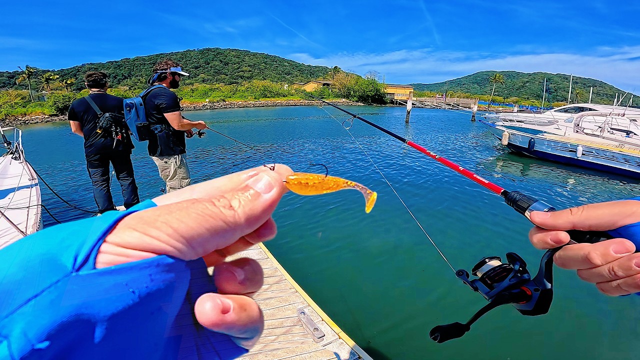 SHAD, ISCA que PEGA PEIXE! PESCARIA de ROBALOS com ISCA ARTIFICIAL SOFT, PESCA ULTRALIGHT, AJING!