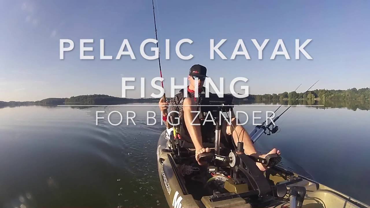 Pelagische Zander! 