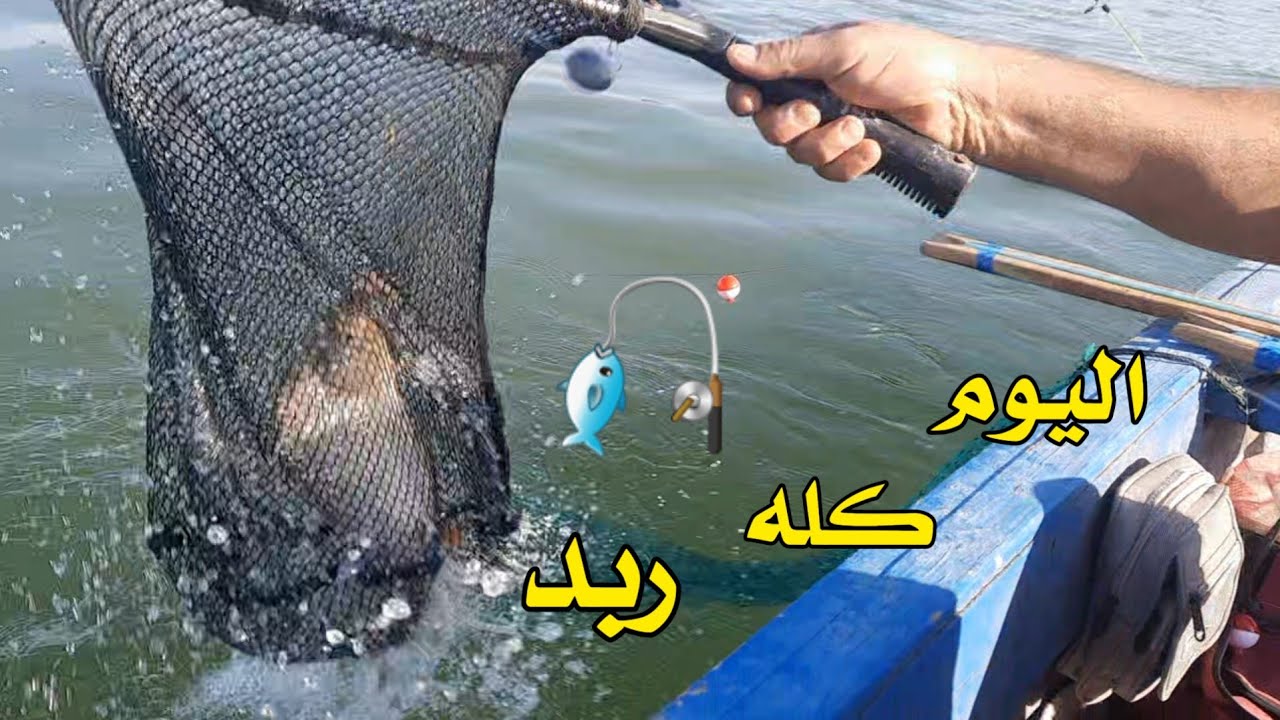 شاهد الربد مال السمتي. احلى صيد اليوم#قيصر_الصياد