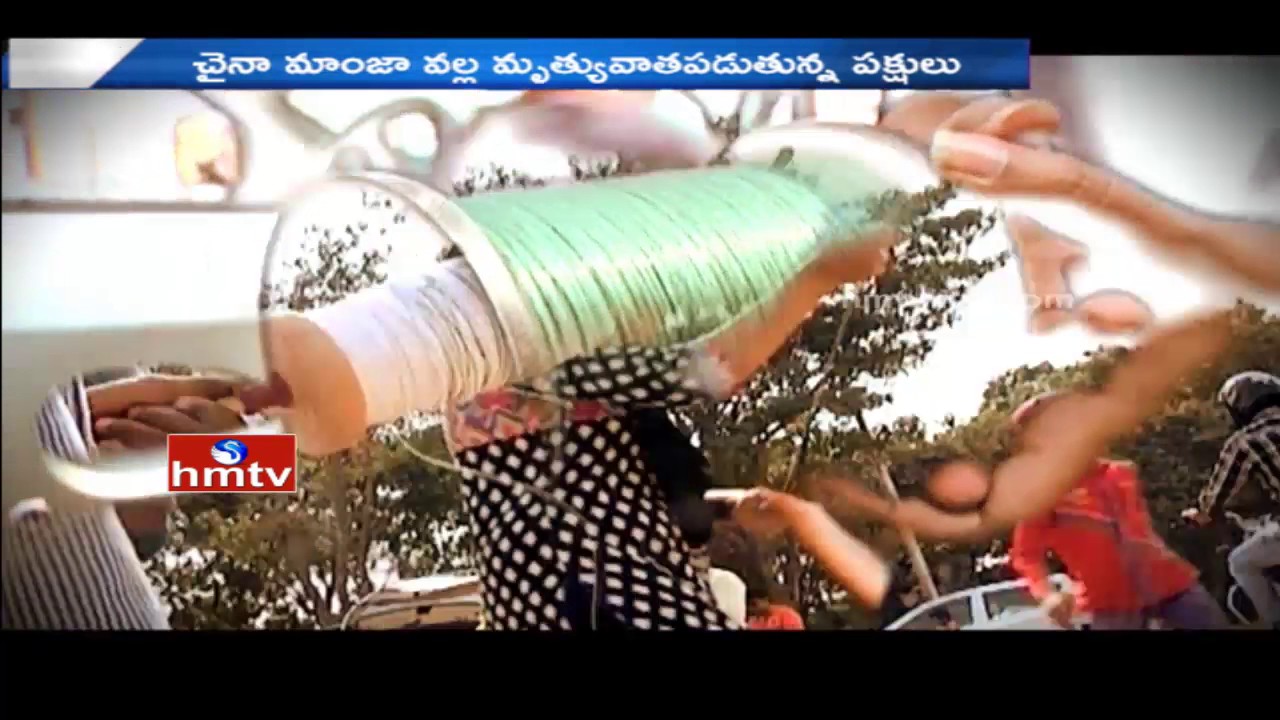 Banned Chinese Manja Still On Sale | Sankranthi Festival | HMTV
