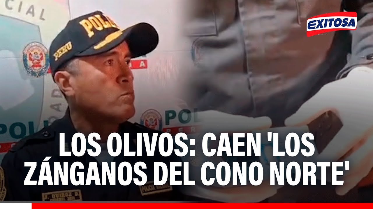 🔴🔵 Los Olivos: Caen 'Los Z&aacute;nganos del Cono Norte' dedicados al robo de autos de alta gama