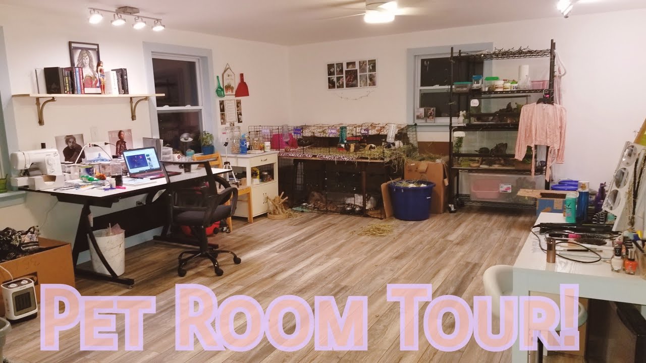 PET ROOM TOUR!!!! (Finally!!!)