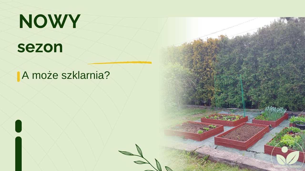 Nowy sezon, nowe plany... Czy postawię szklarnię z  poliwęglanu?