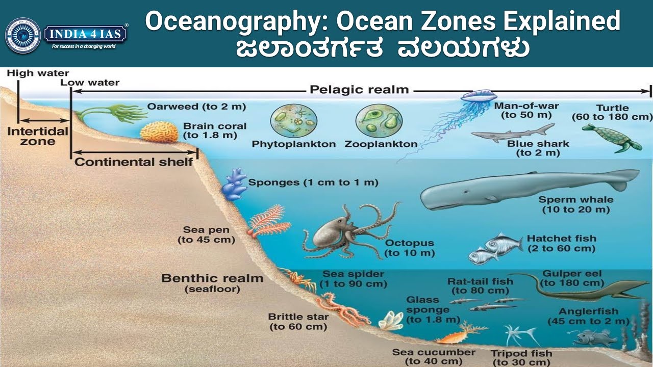 Oceanography: Ocean Zones Explained | ಜಲಾಂತರ್ಗತ ವಲಯಗಳು | UPSC/KPSC Geography | #india4ias