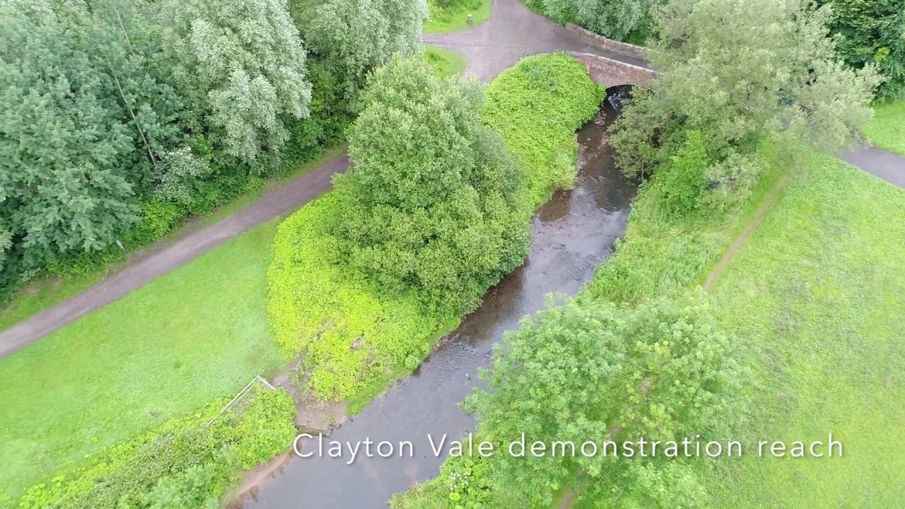 Restoring the River Medlock