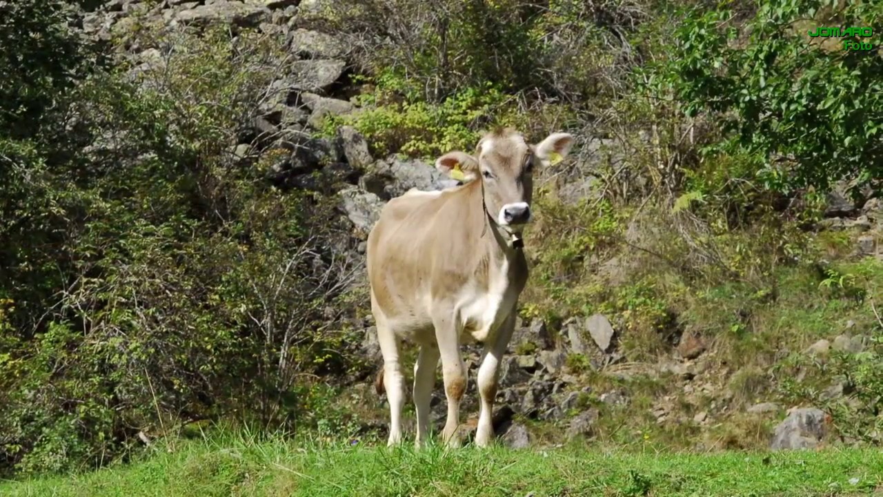Südtirol - Ridnauntal und Umgebung