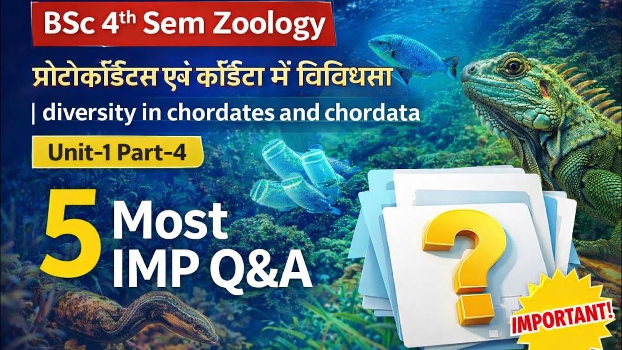 BSc 4th Sem Zoology | Unit-1 Part-4 | 5 Most IMP Q&A  |100% यही से आएगा🔥प्रोटोकॉर्डेट्स & कॉर्डेटा 
