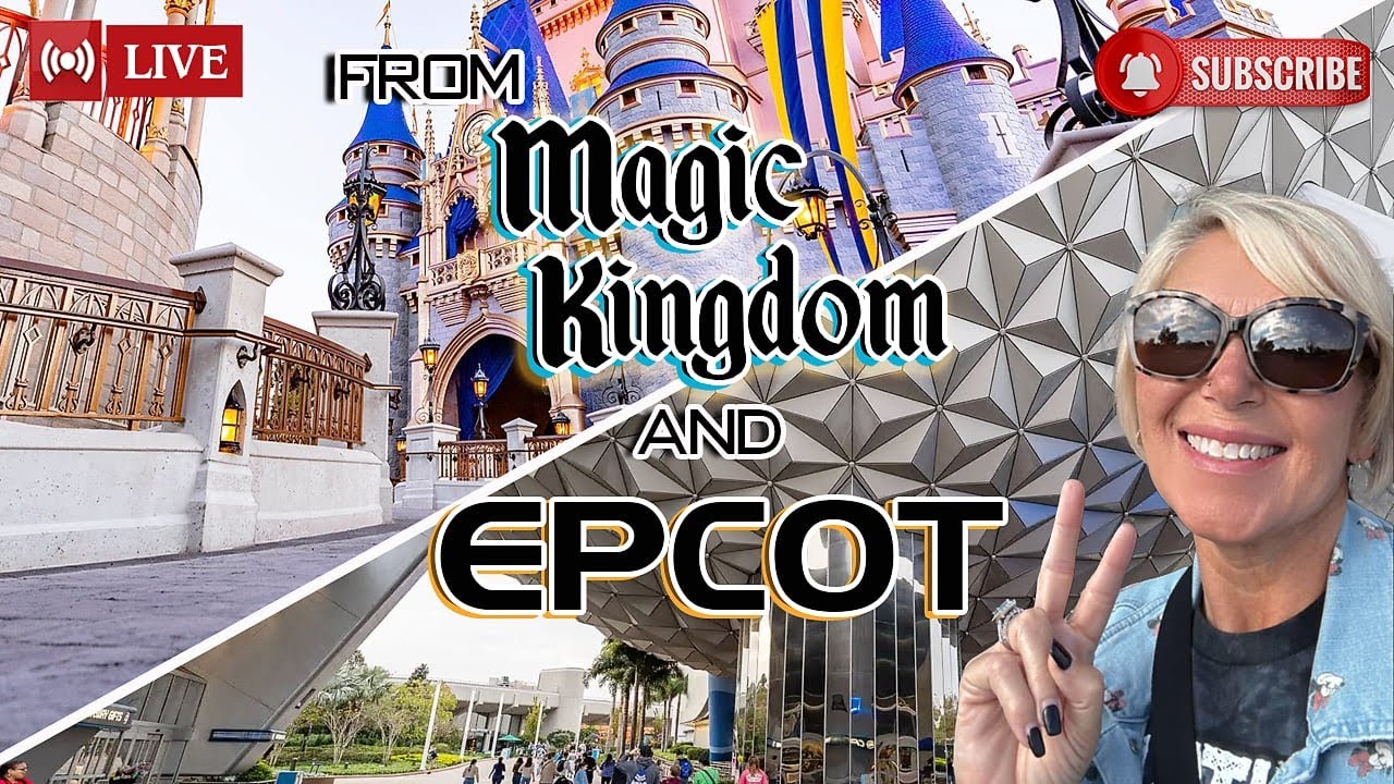 Epcot and Magic Kingdom  Rides/ Fireworks/ Parade 