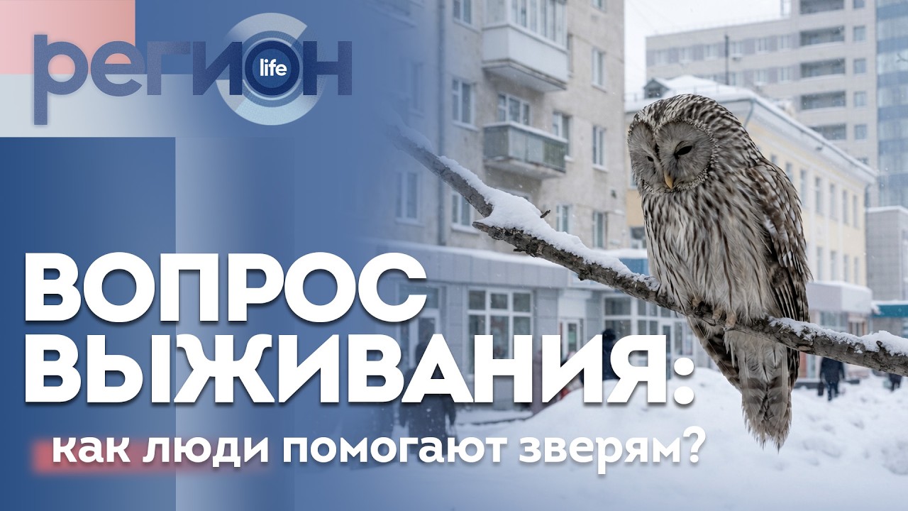 Регион LIFE  | Вопрос выживания: как люди помогают зверям? | ОТС LIVE — прямая трансляция
