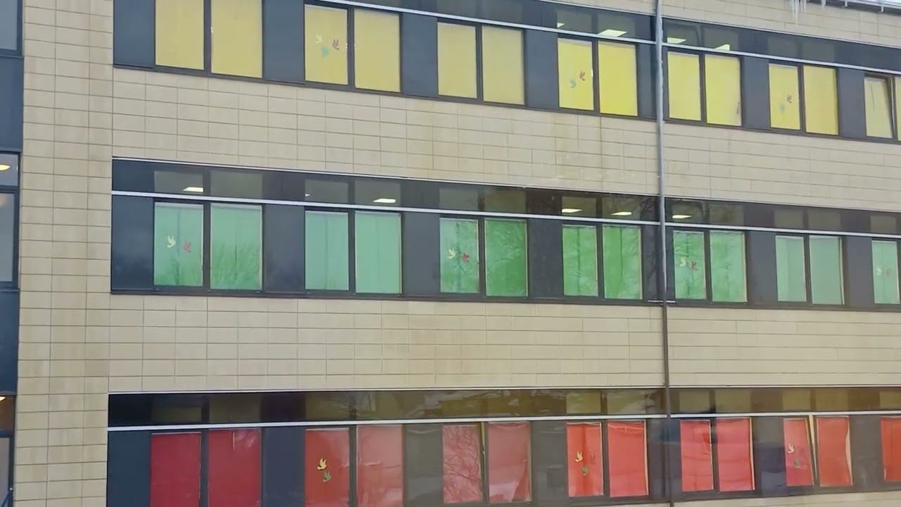 Vilniaus Antano Vienuolio progimnazija