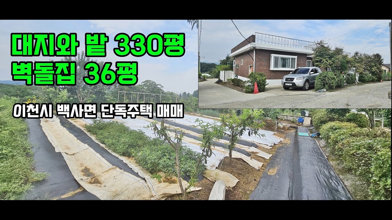대지와 밭이 330평! 귀농수준의 넓은 토지. 6년전 리모델링한  단층 빨간벽돌주택 36평.이천시 백사면 단독주택 매매. 과실수나무 많아요.대형마트등 멀지 않아요