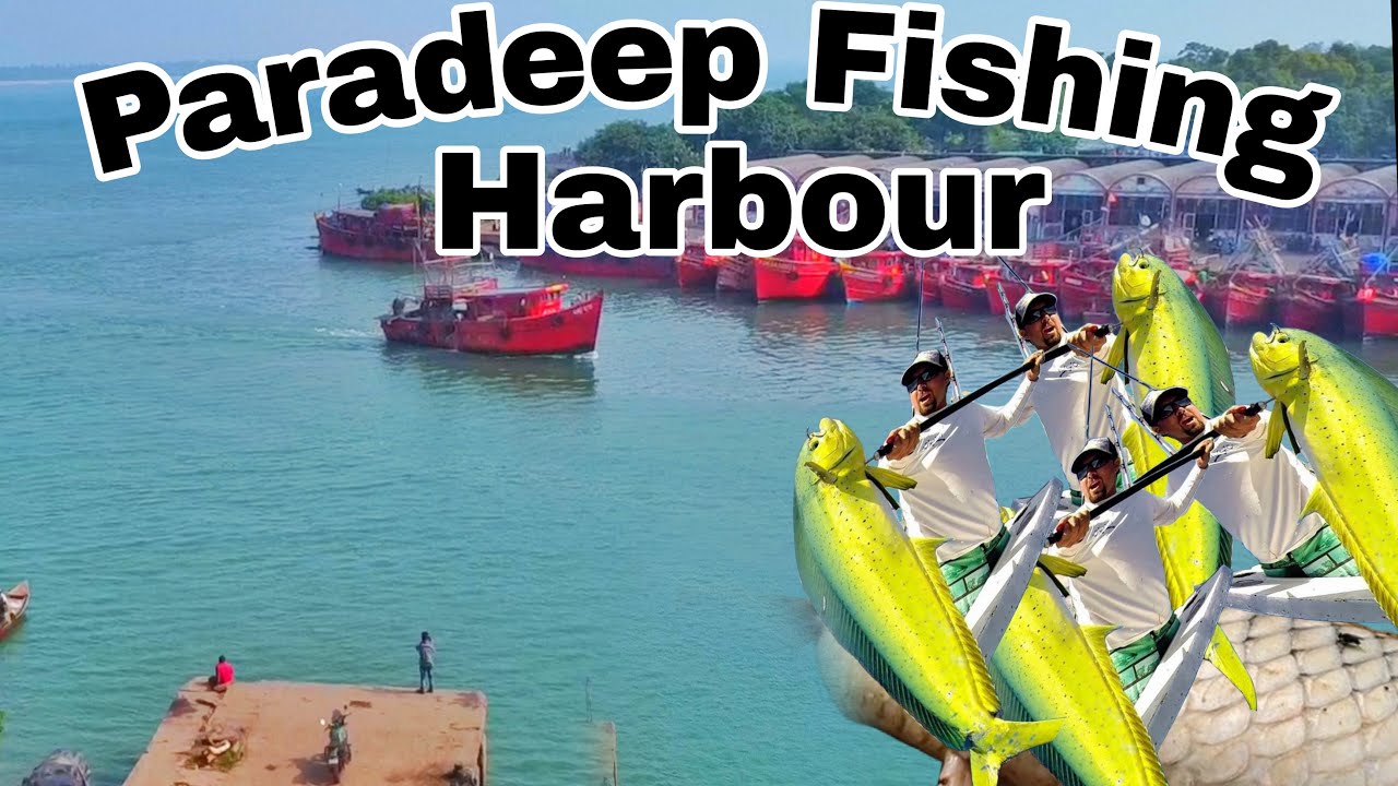 ll Paradeep Fishing Harbour in Telugu ll Drone view of Harbour ll Indian Rider's ll M.V - 12 ll