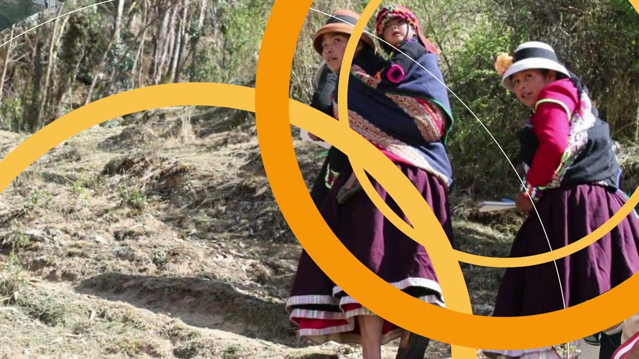 ZOSIMO SULLA  (VICUÑITA TARUKITA)