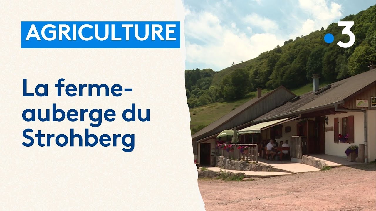 La ferme-auberge du Strohberg