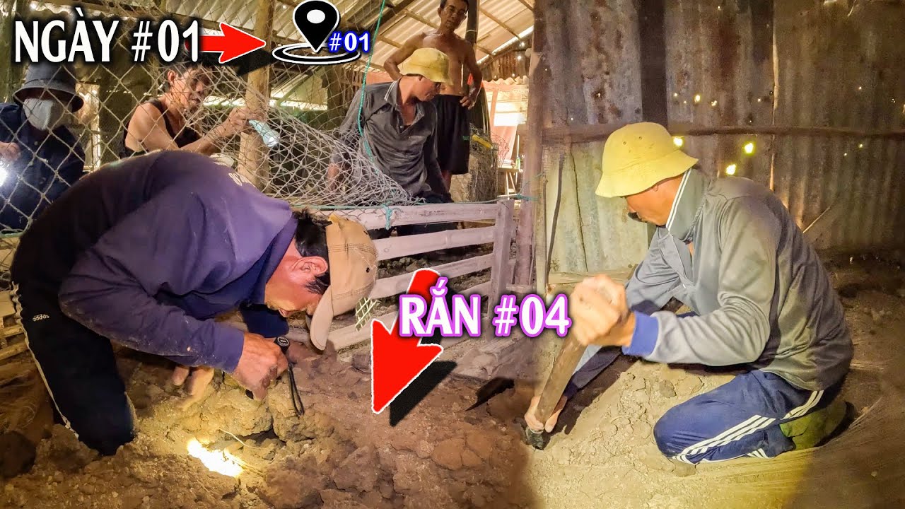 Chúng Tôi Đã Đi Qua Nhiều Nơi Trong 2 Ngày, Và Bắt Được Rất Nhiều Rắn | TGSB #1111