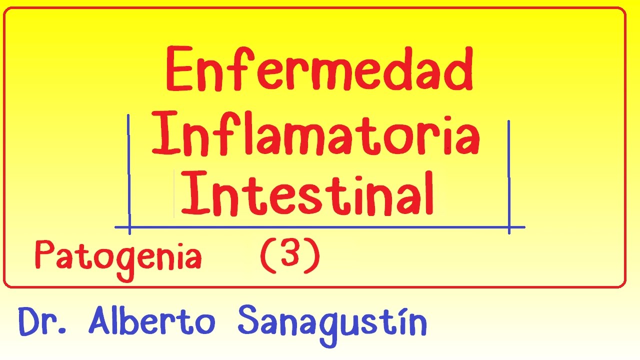 Enfermedad inflamatoria intestinal (3): patogenia