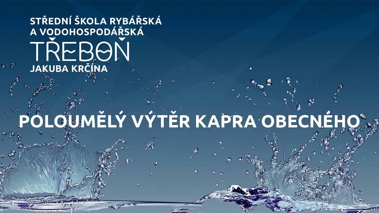 Poloumělý výtěr kapra obecného | SŠRV Jakuba Krčína Třeboň