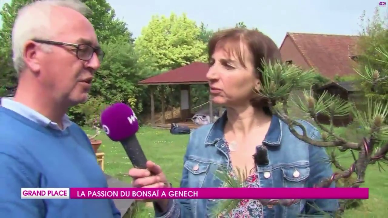 Reportage Club « L’arbre dans la main » sur WEO TV