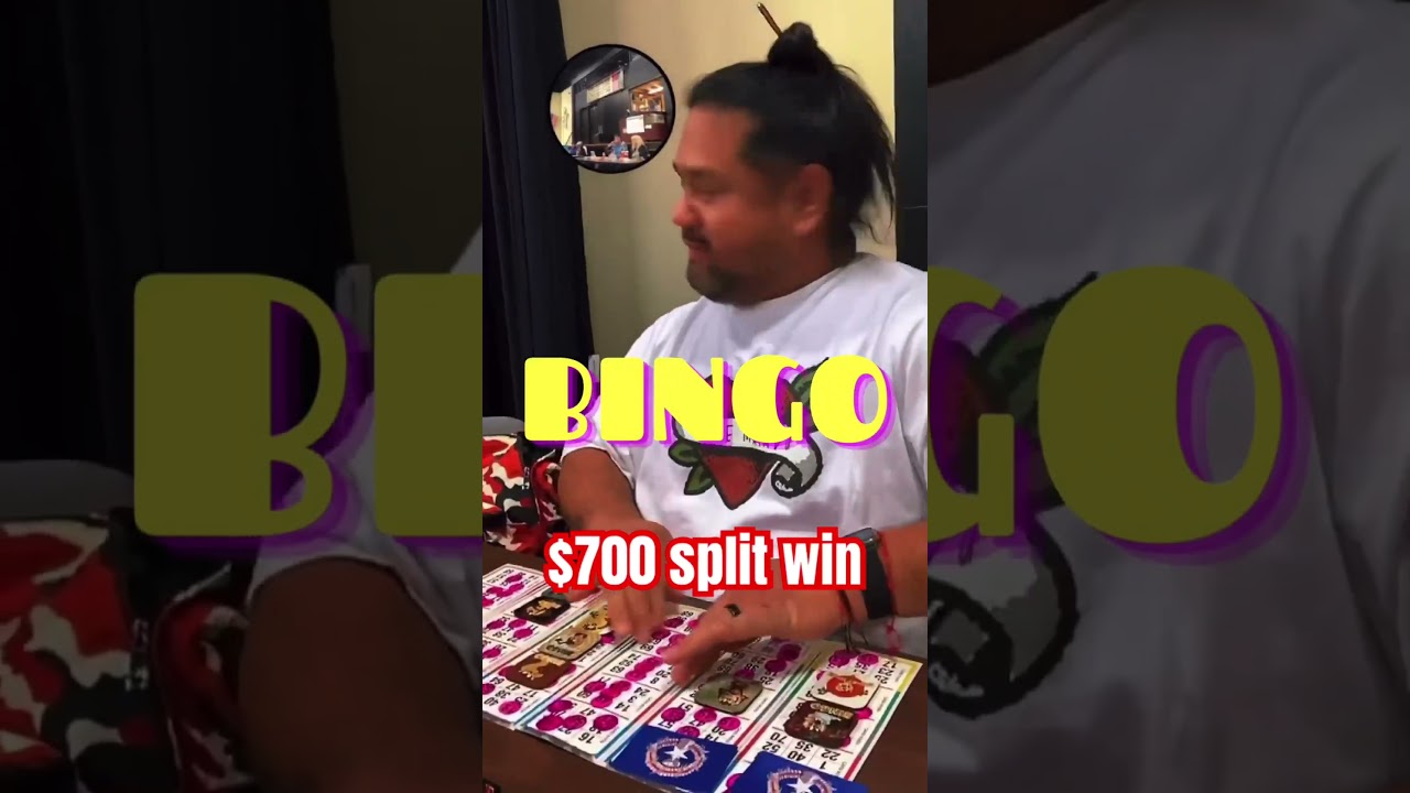 $700 Angry Horses strip win #shorts #bingo #games #fun