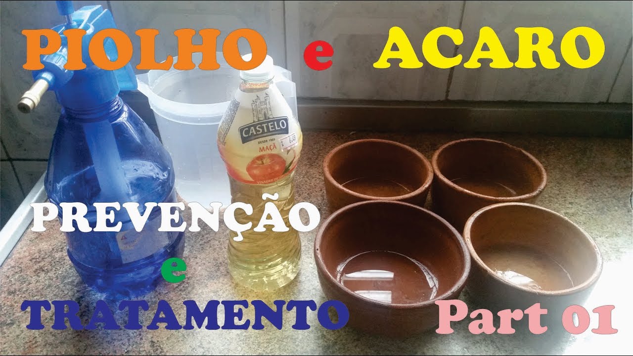 Piolho e Acaro em AVES Prevenção e Tratamento Part 01