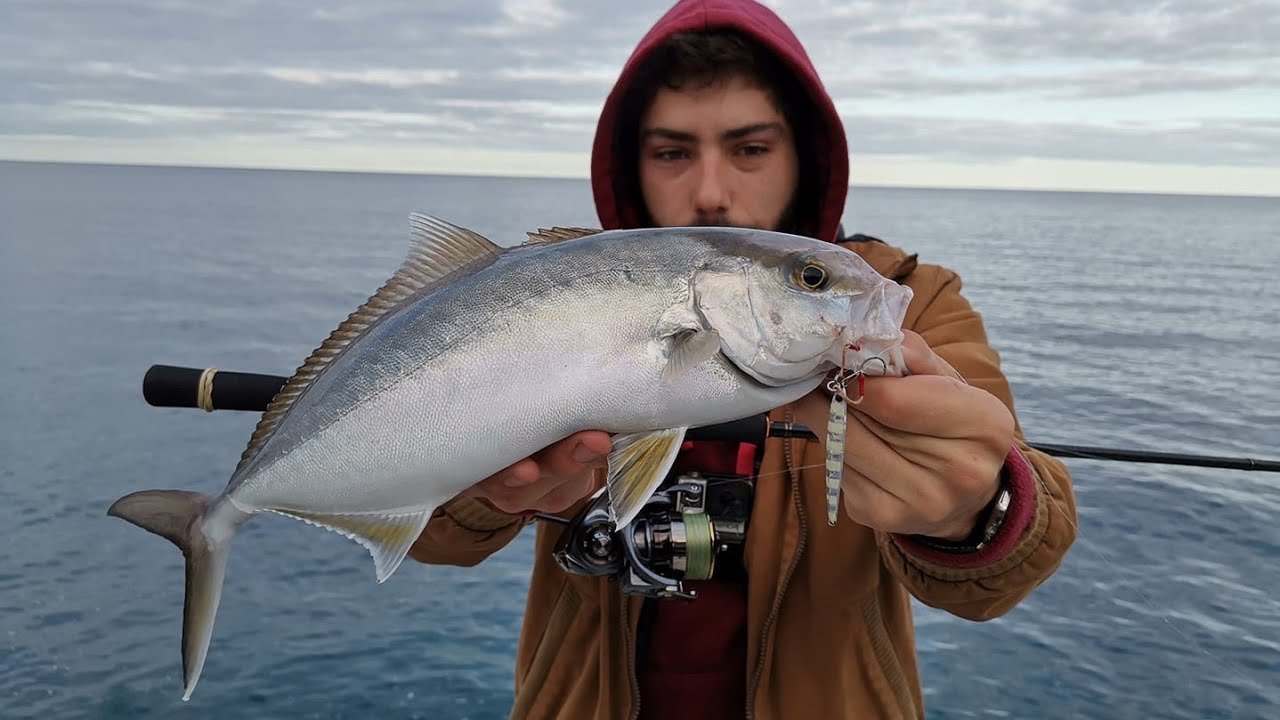 Light Shore Jigging : Pargos e Lírios/ LSJ : Snappers and Amberjacks (Ilha da Madeira)