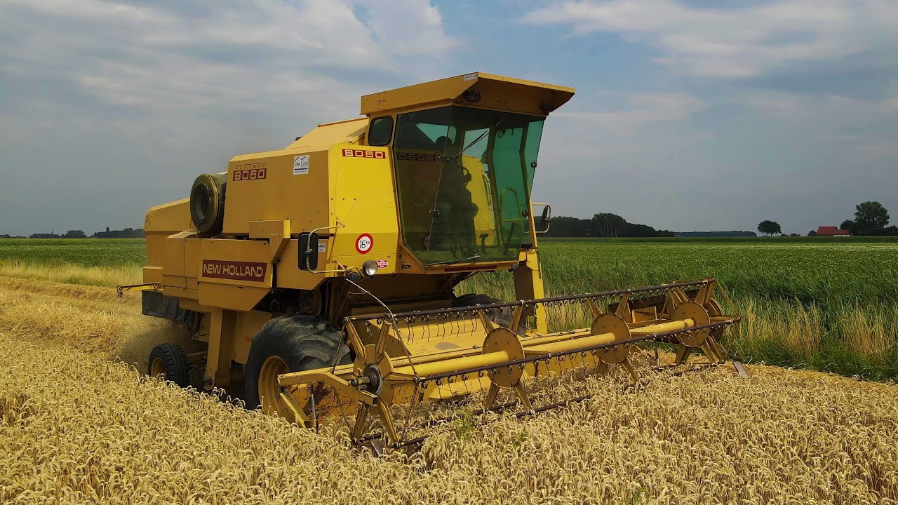 Tarwe dorsen | Wheat harvest | Getreideernte | New Holland | Clayson | 8060 | Classic Farming