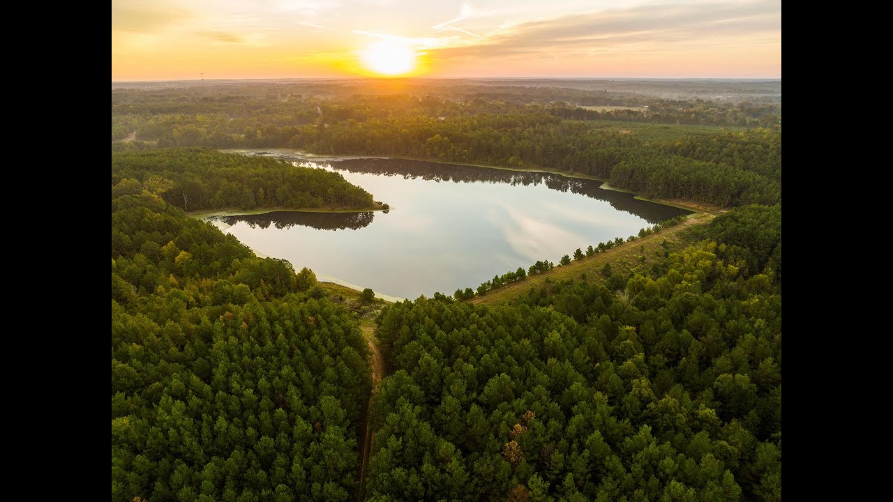 Grays Creek Ranch | East Texas Ranch for Sale