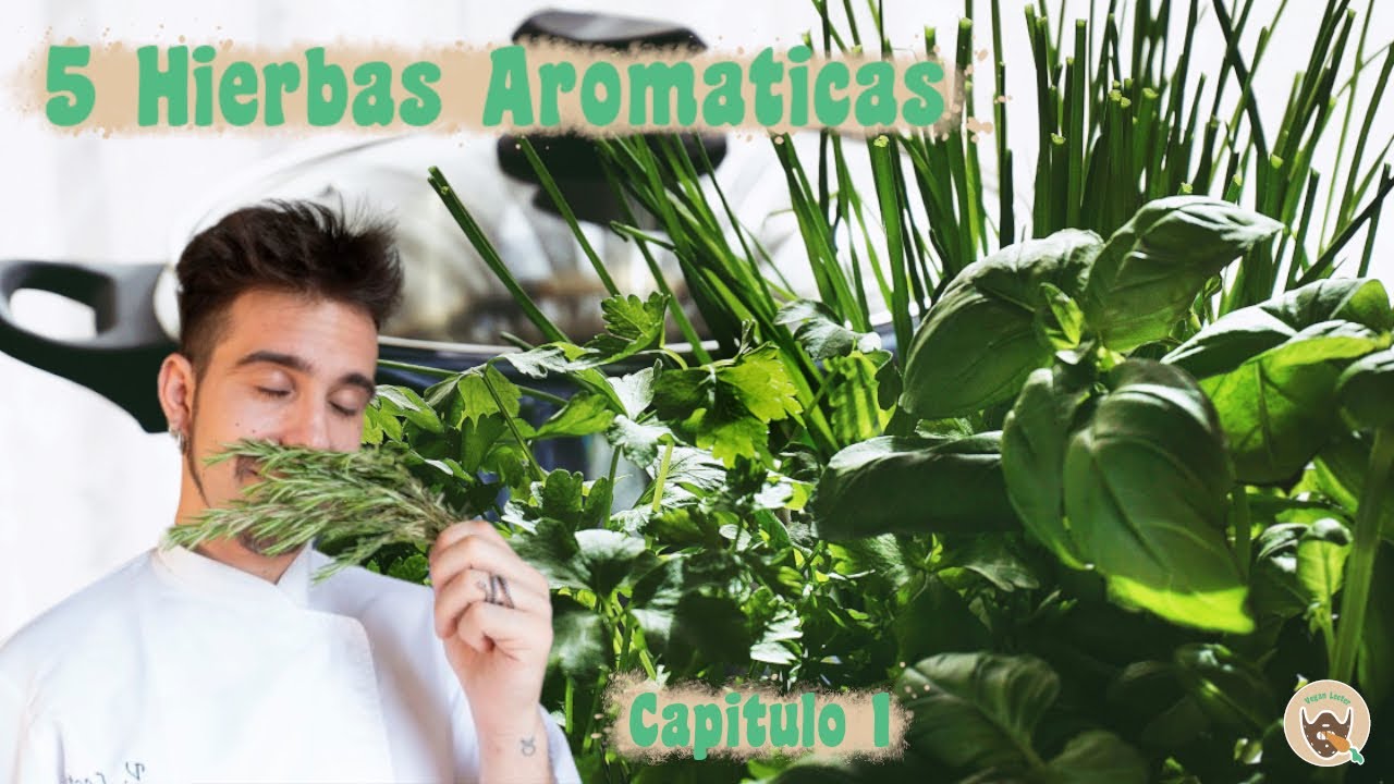 5 HIERBAS AROMÁTICAS | Capitulo 1