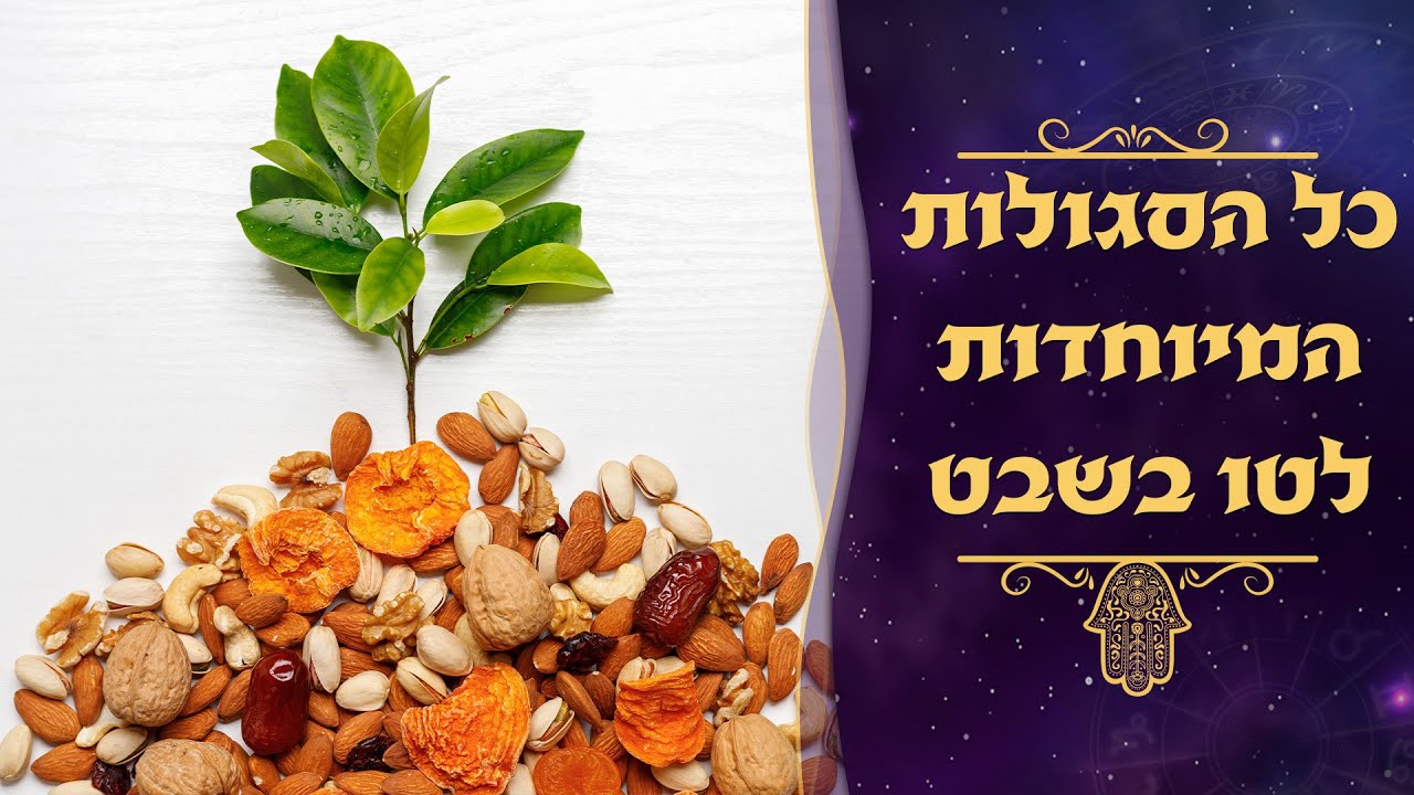 כל הסגולות המיוחדות לטו בשבט | עם סגולה | עם עקיבא בן דוד והרב עמנואל מזרחי