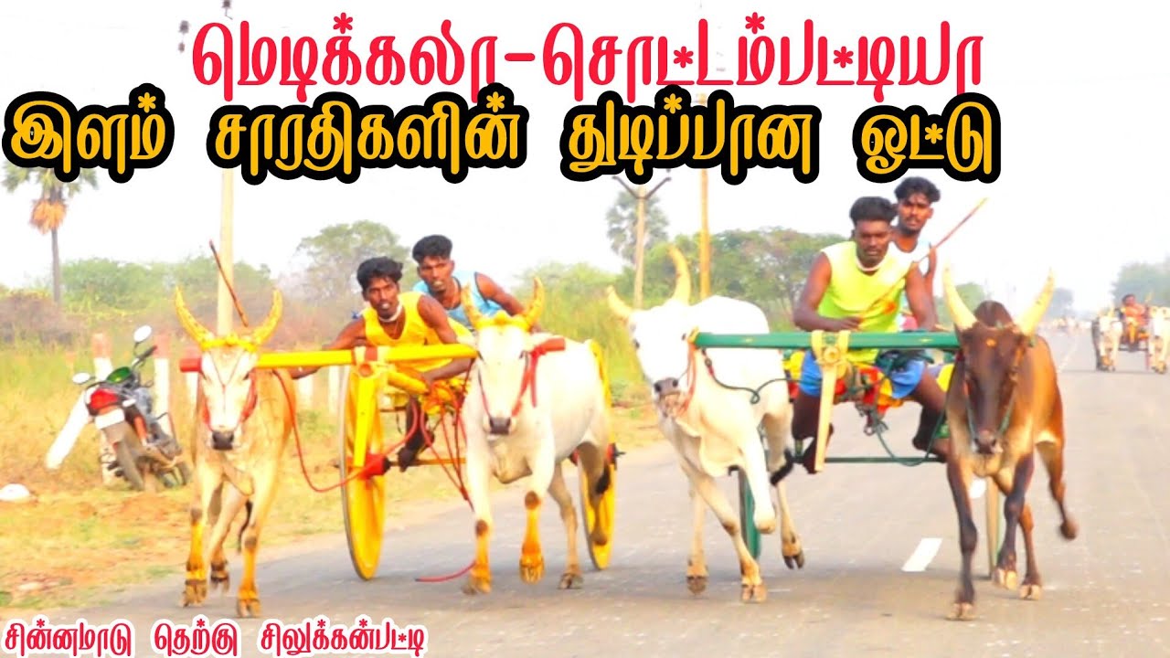 1 தெற்கு சிலுக்கன்பட்டி சின்னமாடு பந்தயம் தூத்துக்குடி மாவட்டம் 