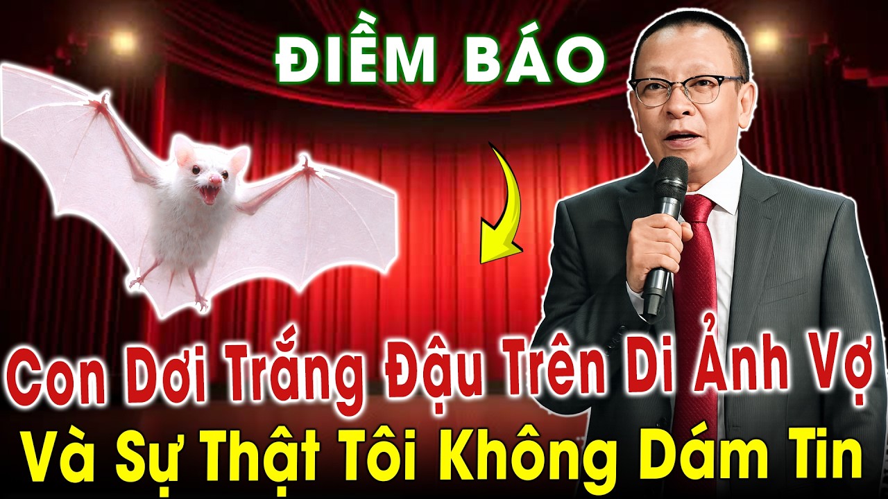 Tâm Sự Cùng Văn Sâm: Điềm báo, Con Dơi Trắng Đậu Trên Di Ảnh Vợ - Và Sự Thật Tôi Không Dám Tin!