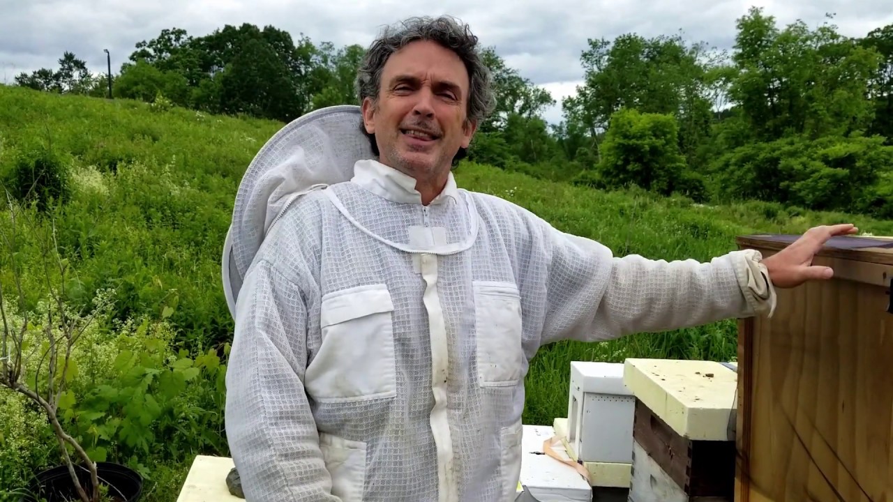 The worker bees are building comb and collecting honey