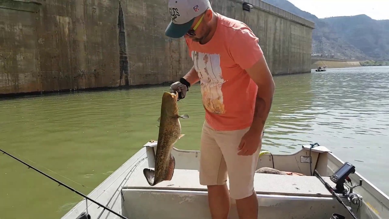 Mequinenza Spain fishing on Ebro river 2018
