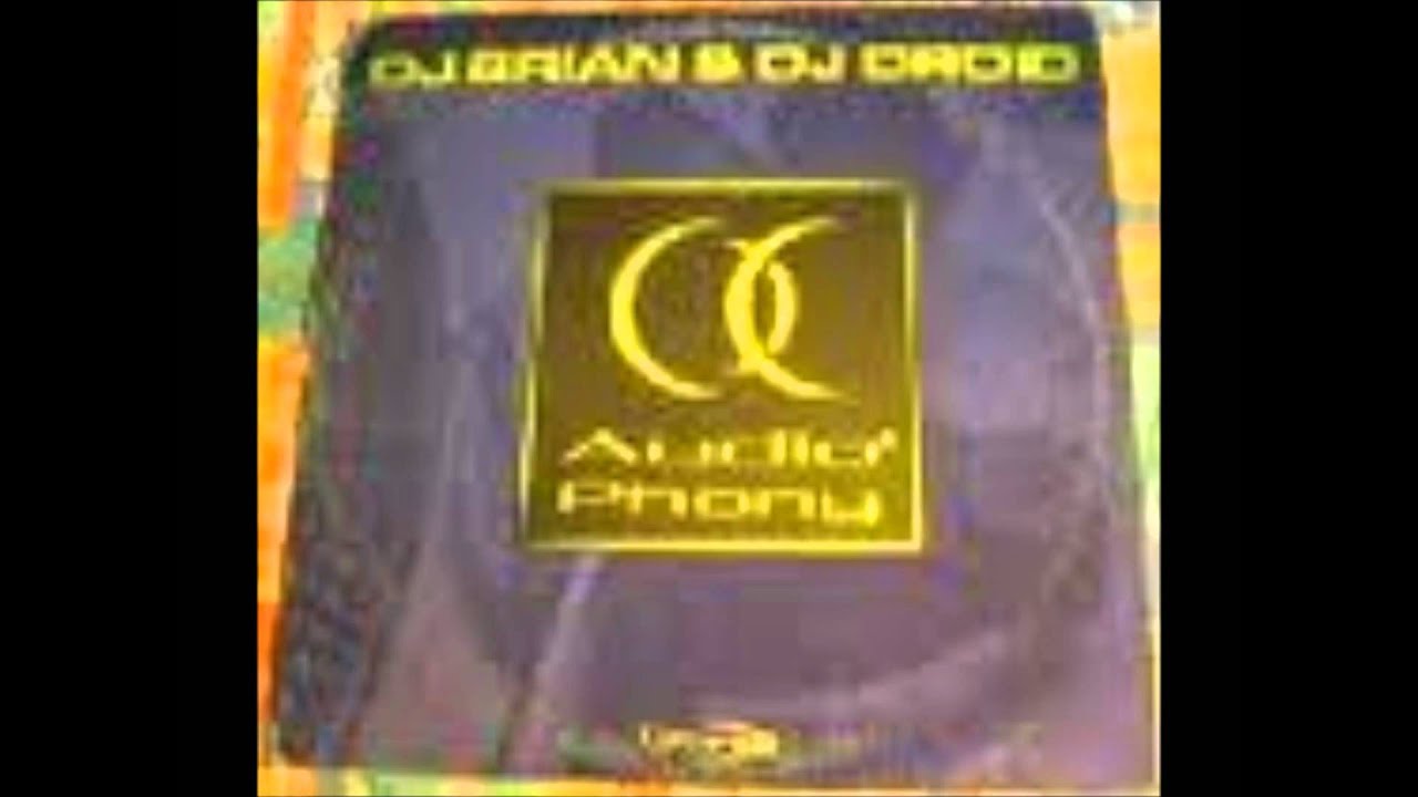Dj Brian & Dj Droid - Audioharmony