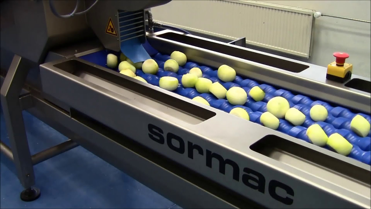 Onion peeling machine - Sormac