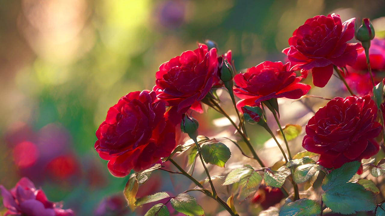 Зимняя музыка 🌺 Чудесная музыка для души 🌺 С Новым годом 🌿 Прекрасные мелодии Сергей Гера