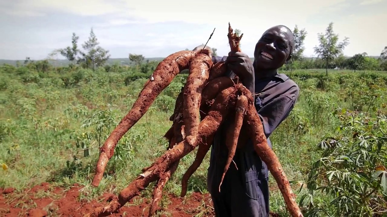 The Value of Land - Kenya