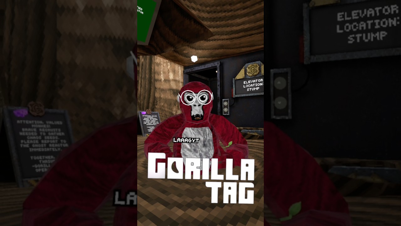 Второй день присоединения к моему фан-коду GT!!!!! @_GorillaTagVR 