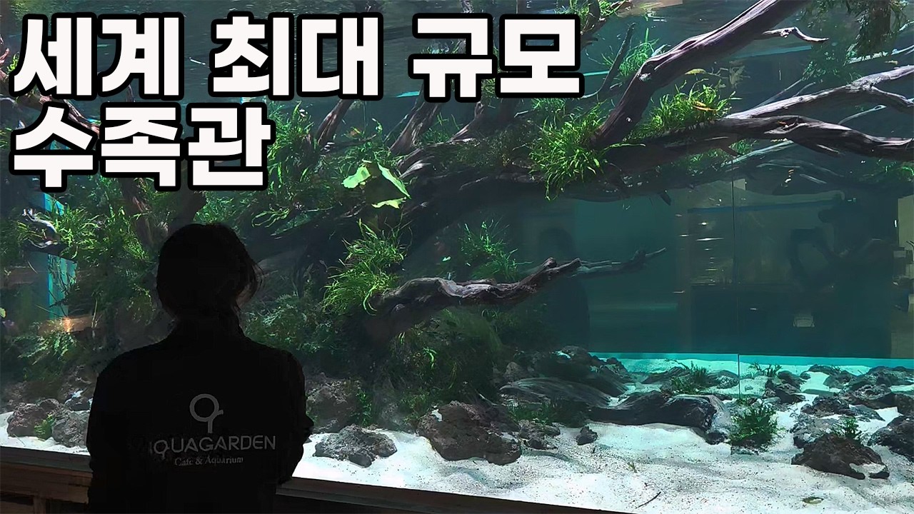어항 수천만원어치가 깨지고 있는 세계 최대 수족관이 만들어지는 과정(아쿠아가든 여수점)