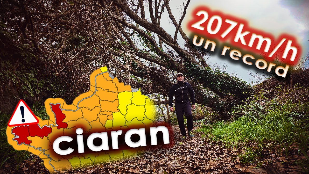 TEMPETE CIARAN, 1 MOIS APRES : Bilan et Conséquences