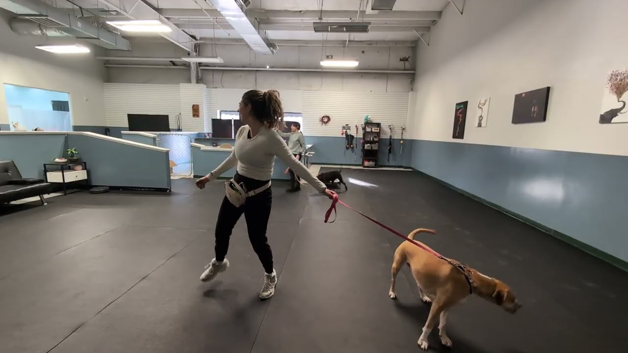 Isla & Maple