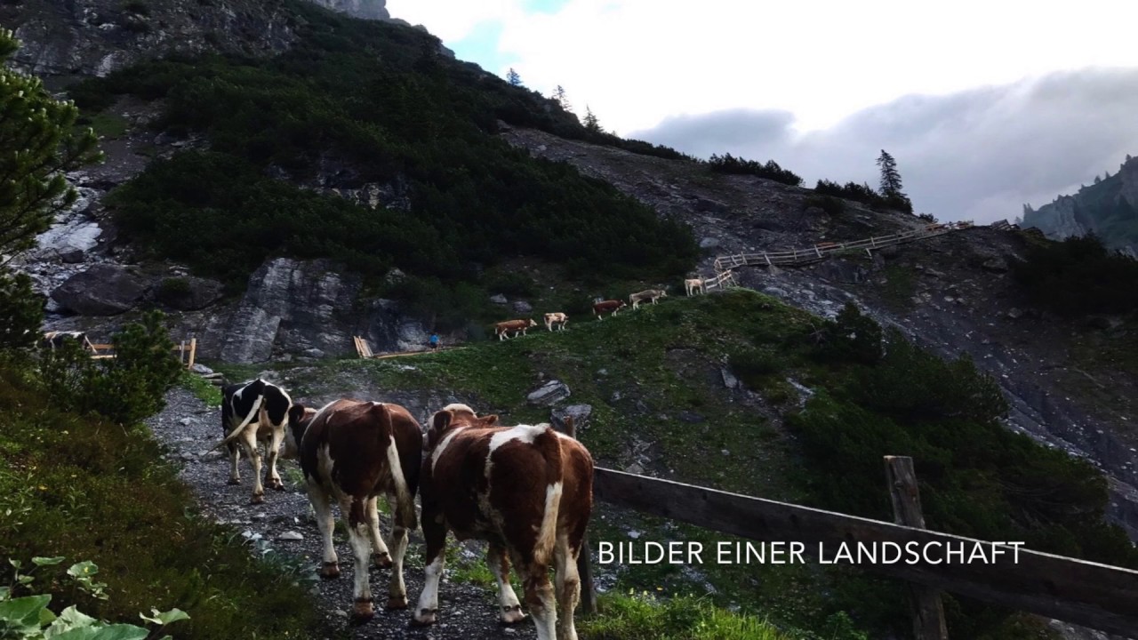 Spullers. Geschichte einer Alpe