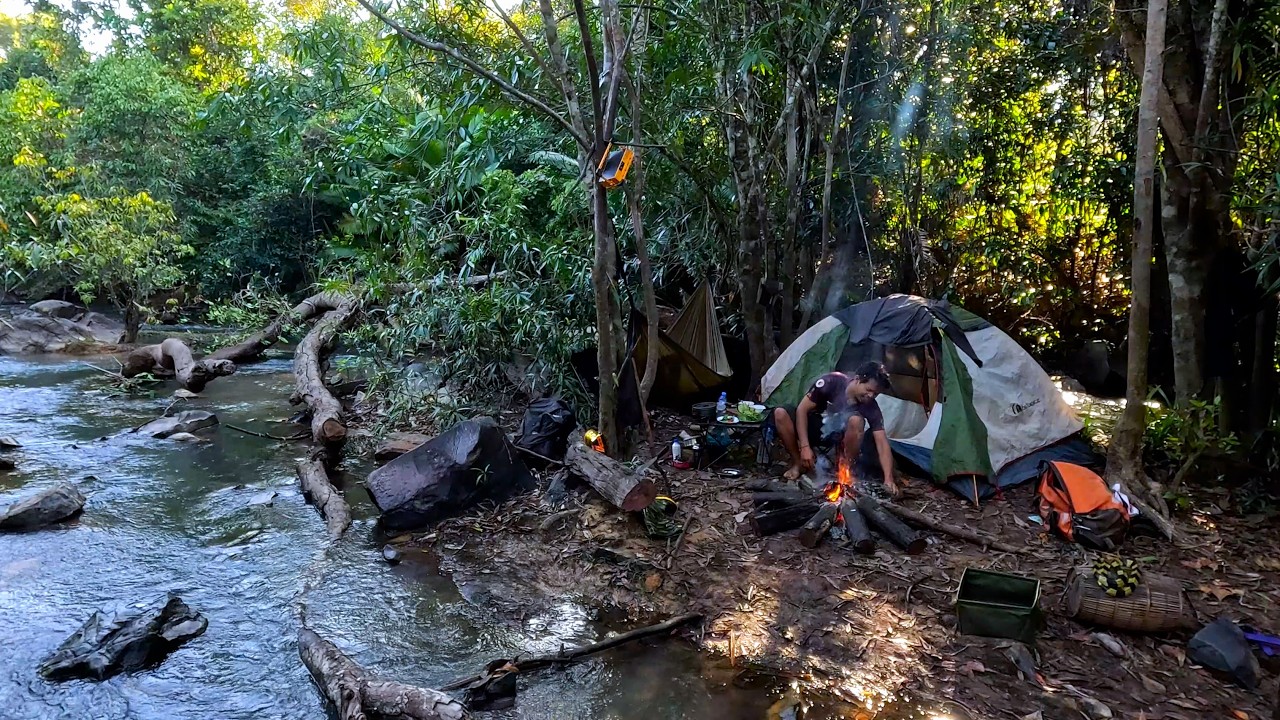 Camping by the Stream and Cooking Snake Soup in Nature