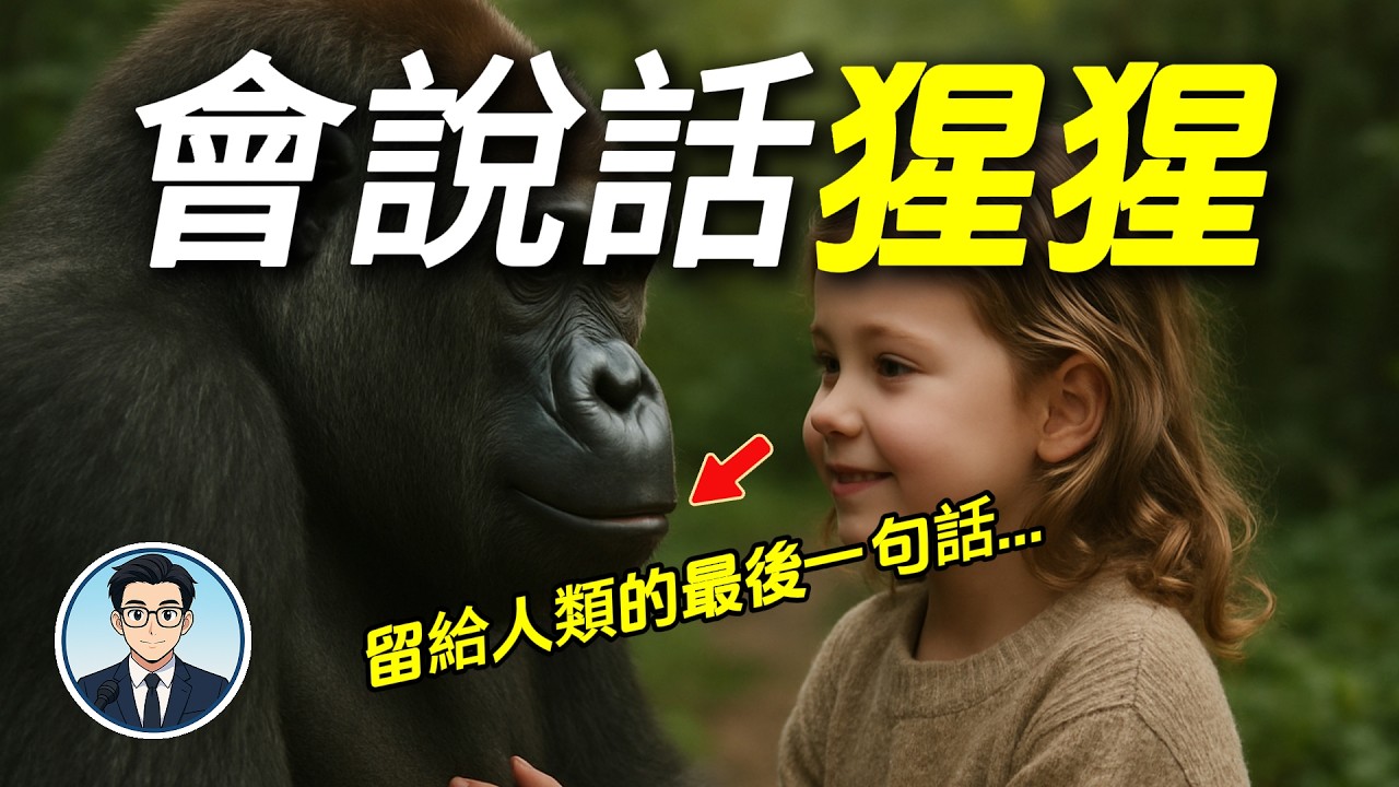 會說話的猩猩：留給人類的最後一句話…你絕對想不到！