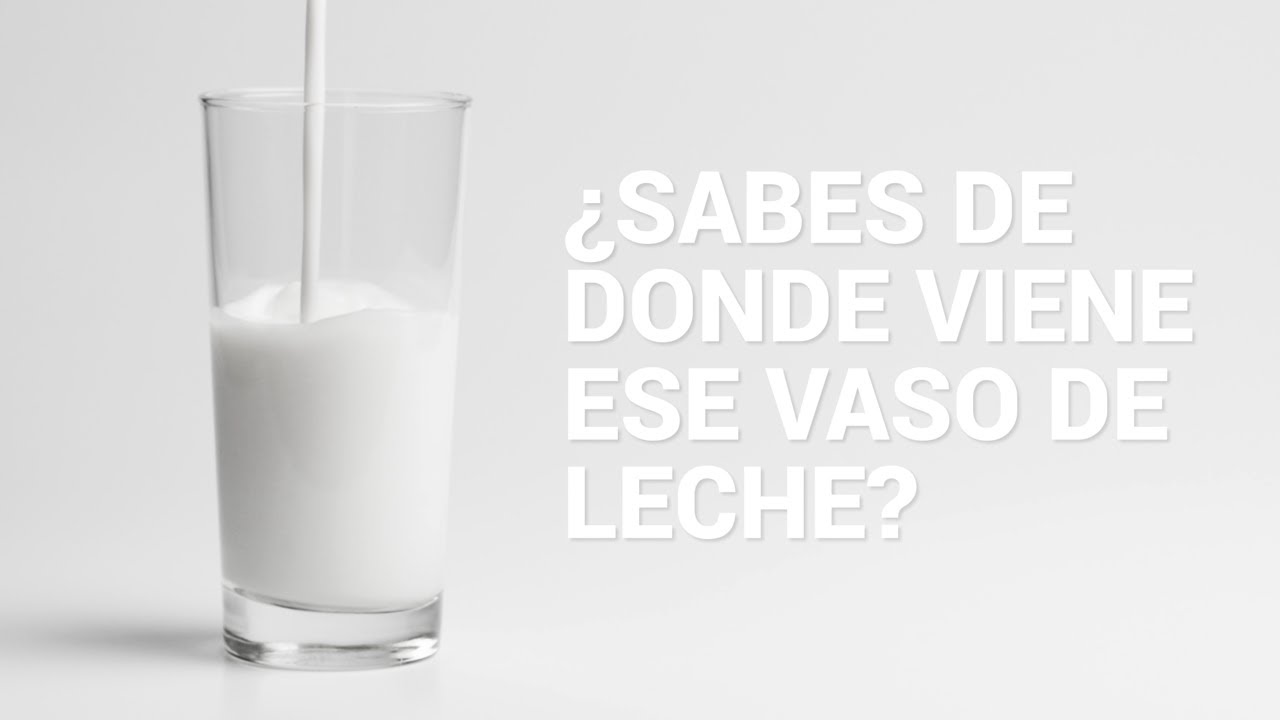 Grupo Maulec y su planta de Leche en Nopalucan.