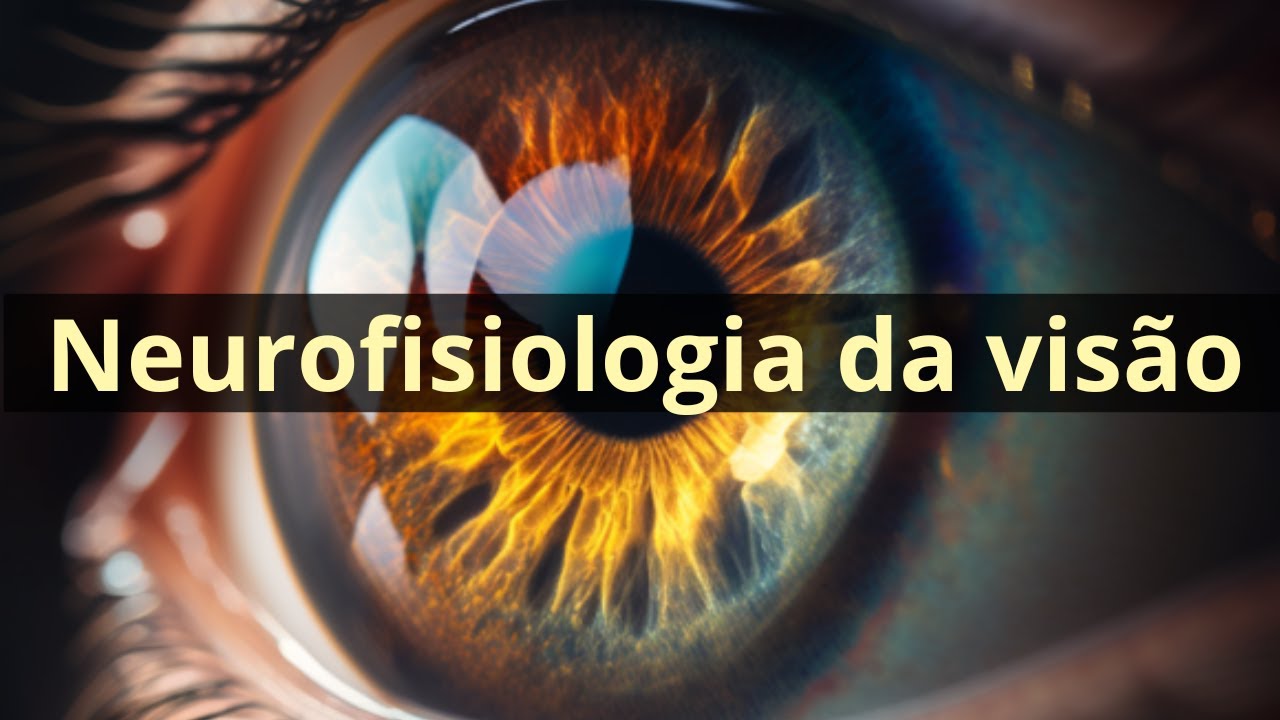 Neurofisiologia da visão (função receptora da retina) - Fisiologia Humana