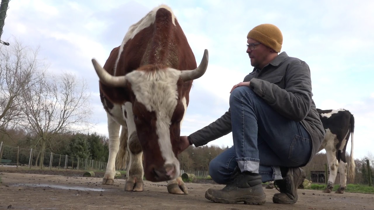 Letzte Chance Gnadenhof